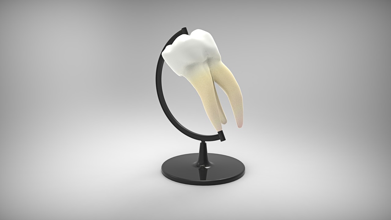 dentist14